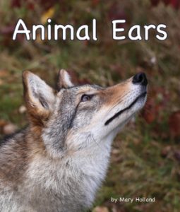 Project READ's LBL: Animal Ears 1 Project READ's LBL: Animal Ears 1